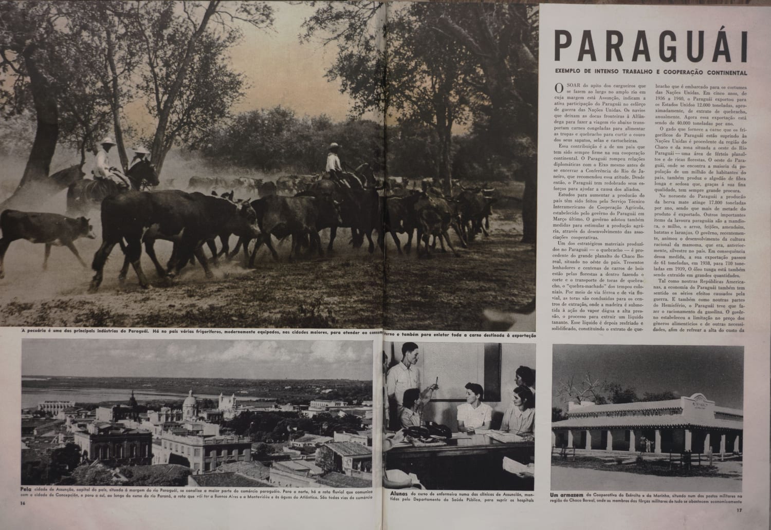Fotografia das principais indústrias do Paraguai com frigoríficos modernamente equipados nas cidades menores