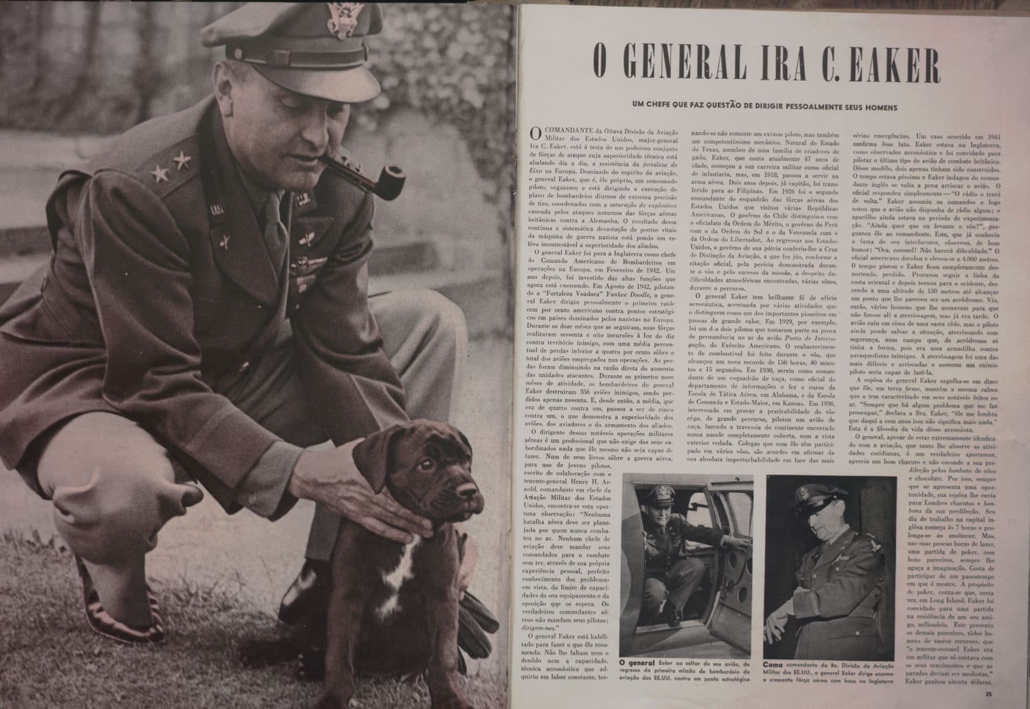 Página 14