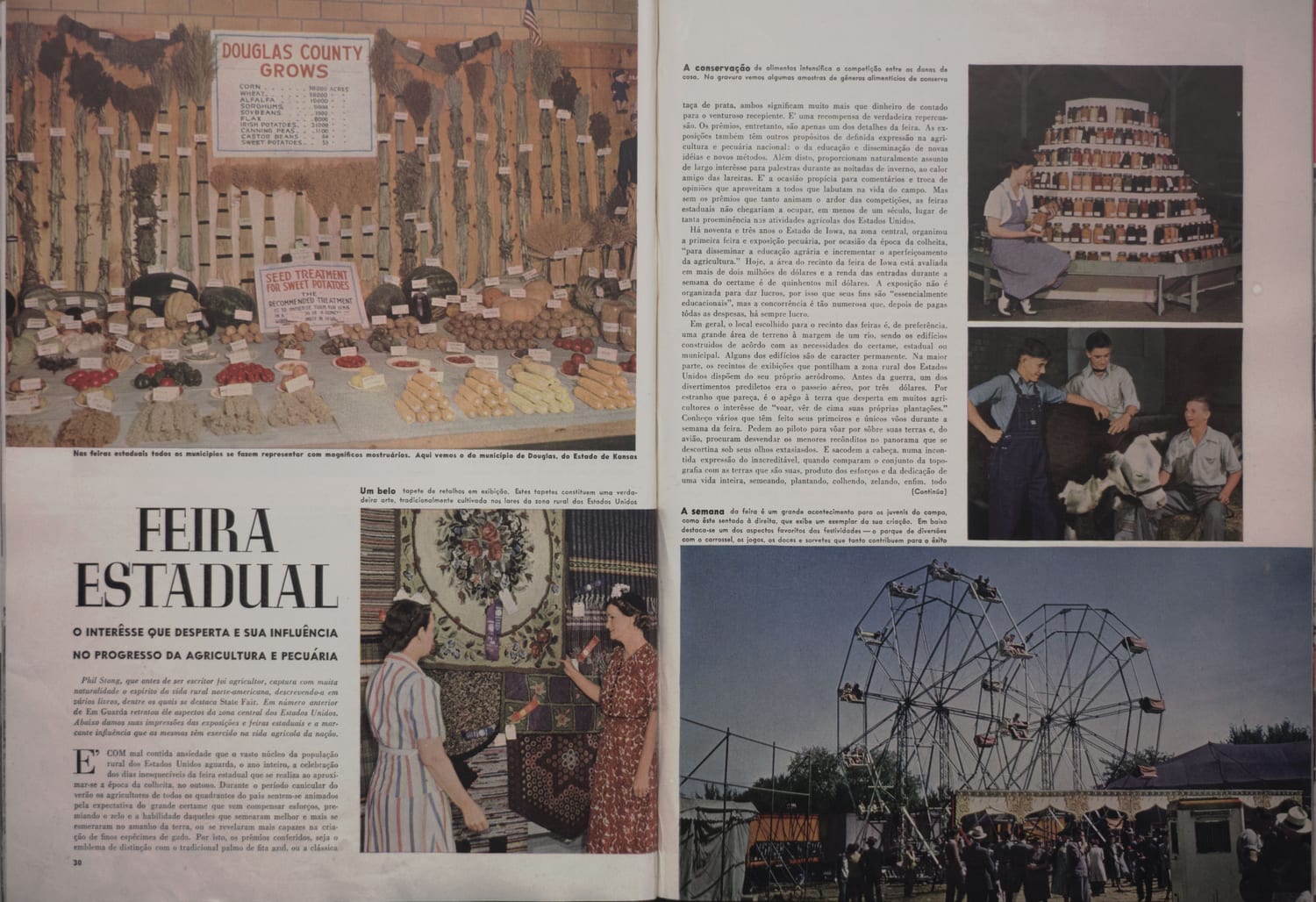 Exposição agrícola de Douglas County apresentando colheitas e produtos da feira estadual.
