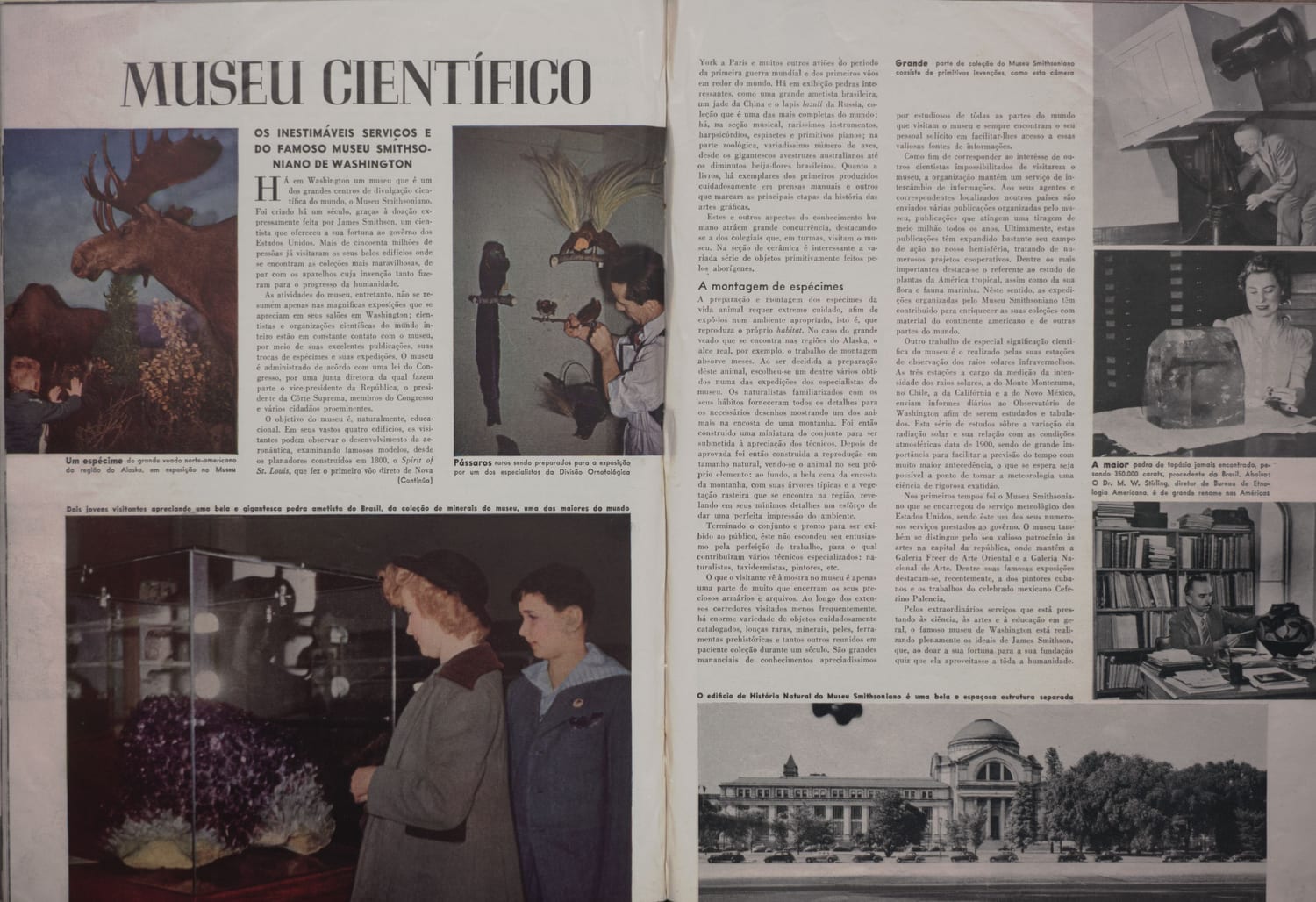 Visitantes do museu examinando coleções de espécimes científicos em vitrines.